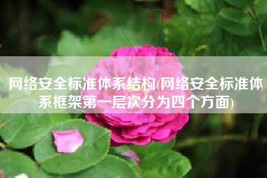 网络安全标准体系结构(网络安全标准体系框架第一层次分为四个方面)