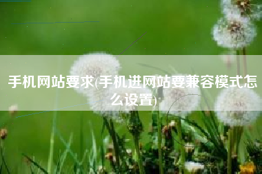 手机网站要求(手机进网站要兼容模式怎么设置)