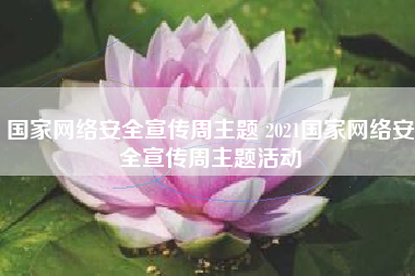 国家网络安全宣传周主题 2021国家网络安全宣传周主题活动