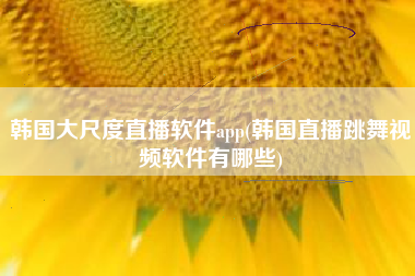 韩国大尺度直播软件app(韩国直播跳舞视频软件有哪些)
