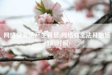 网络安全法产生背景(网络安全法开始施行的时间)