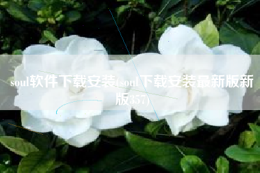 soul软件下载安装(soul下载安装最新版新版357)