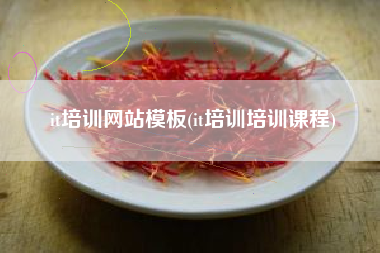 it培训网站模板(it培训培训课程)