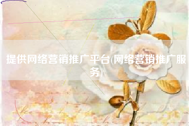 提供网络营销推广平台(网络营销推广服务)