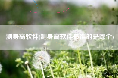 测身高软件(测身高软件最准的是哪个)