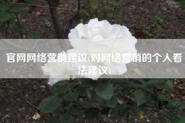 官网网络营销建议(对网络营销的个人看法建议)
