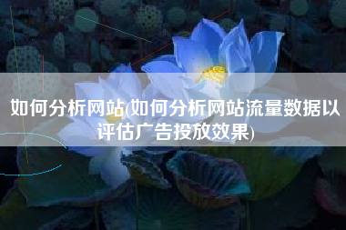如何分析网站(如何分析网站流量数据以评估广告投放效果)