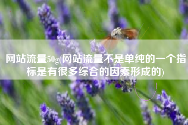 网站流量50g(网站流量不是单纯的一个指标是有很多综合的因素形成的)