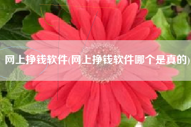 网上挣钱软件(网上挣钱软件哪个是真的)