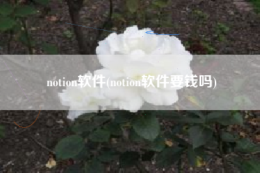 notion软件(notion软件要钱吗)