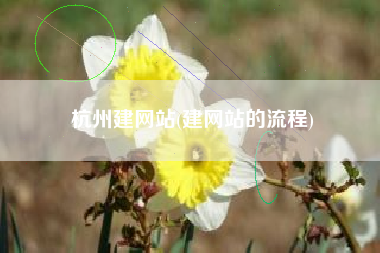 杭州建网站(建网站的流程)