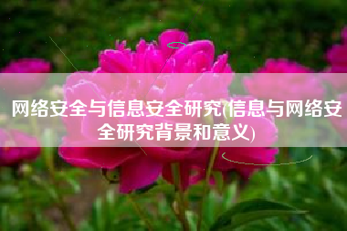 网络安全与信息安全研究(信息与网络安全研究背景和意义)