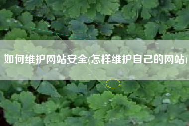 如何维护网站安全(怎样维护自己的网站)