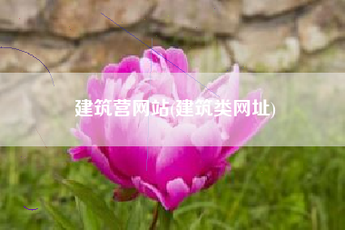 建筑营网站(建筑类网址)