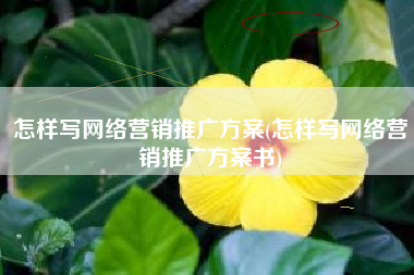 怎样写网络营销推广方案(怎样写网络营销推广方案书)