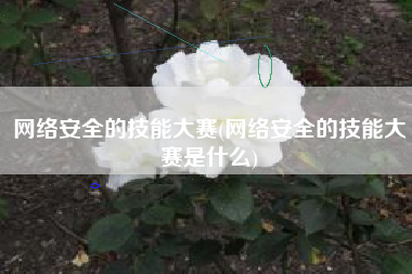 网络安全的技能大赛(网络安全的技能大赛是什么)