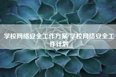 学校网络安全工作方案 学校网络安全工作计划