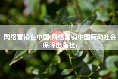 网络营销在中国(网络营销中国劳动社会保障出版社)