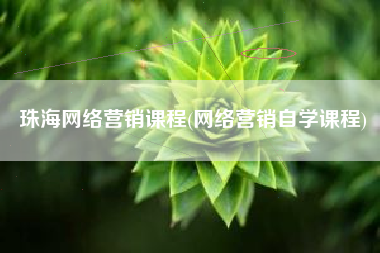 珠海网络营销课程(网络营销自学课程)