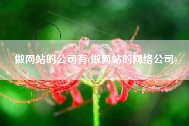 做网站的公司有(做网站的网络公司)