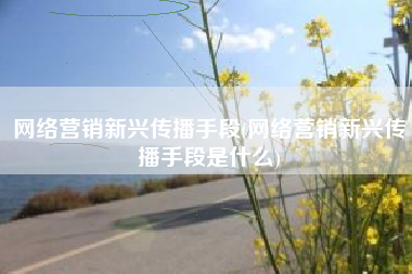网络营销新兴传播手段(网络营销新兴传播手段是什么)