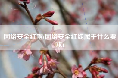 网络安全红帽(网络安全红线属于什么要求)