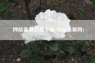 网站备案信息下载(网站备案网)