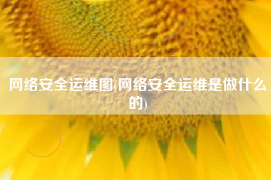 网络安全运维图(网络安全运维是做什么的)