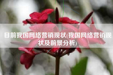 目前我国网络营销现状(我国网络营销现状及前景分析)