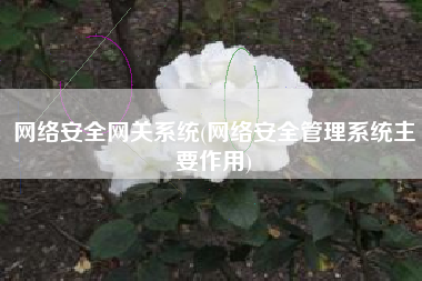网络安全网关系统(网络安全管理系统主要作用)
