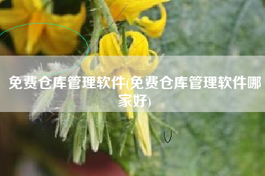 免费仓库管理软件(免费仓库管理软件哪家好)