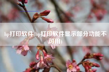 hp打印软件(hp打印软件显示部分功能不可用)