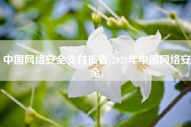 中国网络安全支付报告(2021年中国网络安全)