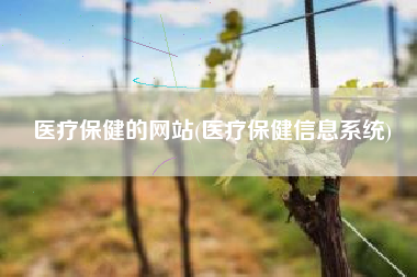 医疗保健的网站(医疗保健信息系统)