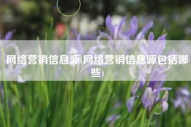 网络营销信息源(网络营销信息源包括哪些)