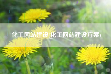 化工网站建设(化工网站建设方案)