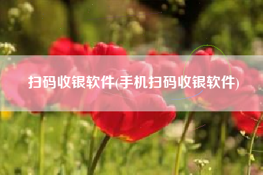 扫码收银软件(手机扫码收银软件)