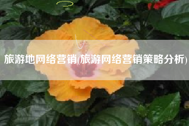 旅游地网络营销(旅游网络营销策略分析)