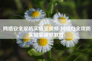 网络安全攻防实验室视频(网络安全攻防实验室视频教程)