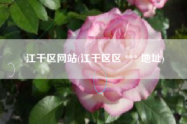 江干区网站(江干区区 *** 地址)