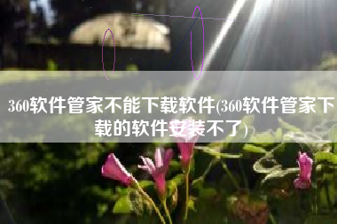360软件管家不能下载软件(360软件管家下载的软件安装不了)