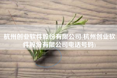 杭州创业软件股份有限公司(杭州创业软件股份有限公司电话号码)