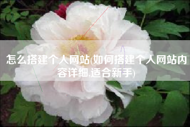怎么搭建个人网站(如何搭建个人网站内容详细,适合新手)