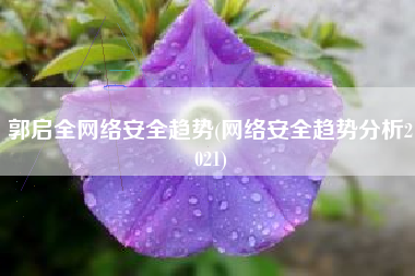 郭启全网络安全趋势(网络安全趋势分析2021)