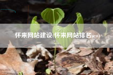 怀来网站建设(怀来网站排名seo)