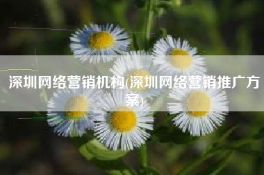 深圳网络营销机构(深圳网络营销推广方案)
