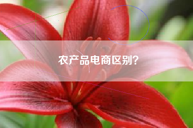 农产品电商区别？