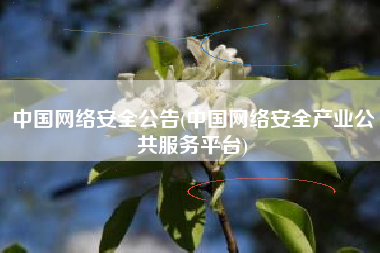 中国网络安全公告(中国网络安全产业公共服务平台)