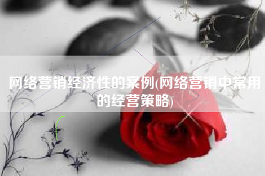 网络营销经济性的案例(网络营销中常用的经营策略)