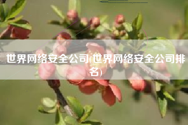 世界网络安全公司(世界网络安全公司排名)